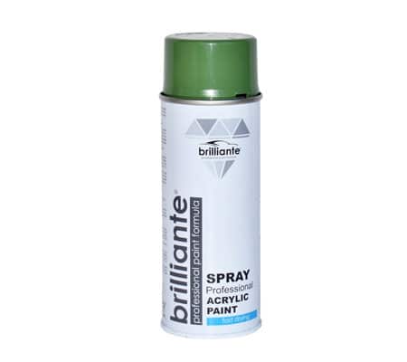 Vopsea Spray Verde Reseda (Ral 6011) 400 Ml Brilliante