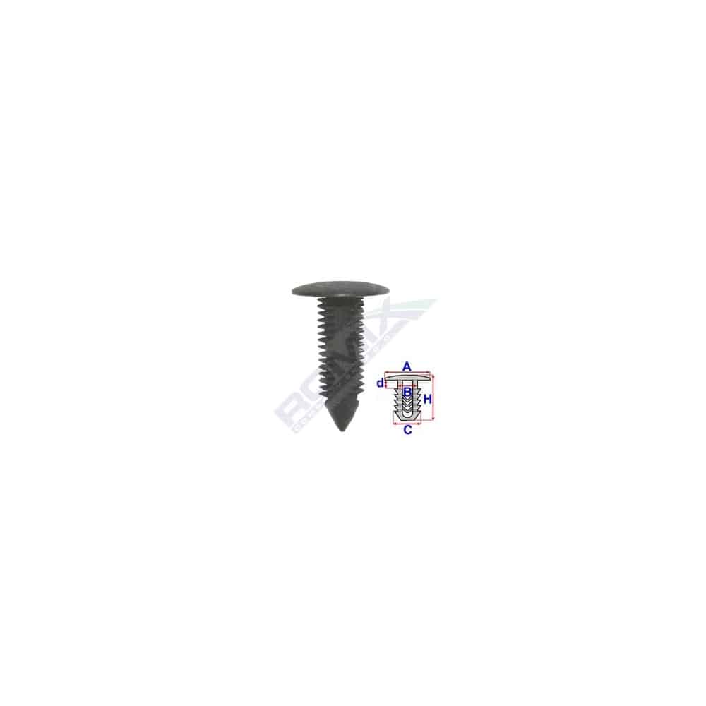 34177.jpg