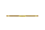 402309275.jpg