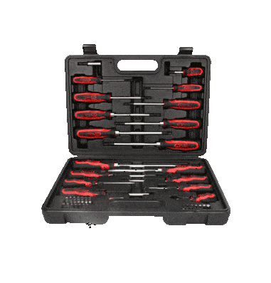 Set De Surubelnite Si Biti Ergotorqueplus. 39 De Piese