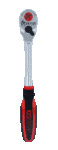 402349251.jpg