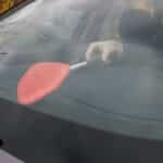 407630_D7.jpg