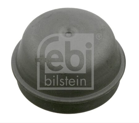 Capac De Protectie, Butuc Roata FEBI BILSTEIN Chrysler