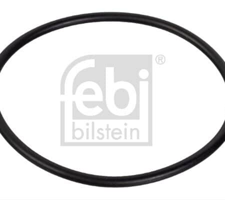 Inel De Etansare; Inel Etansare, Articulatie Ax FEBI BILSTEIN Man