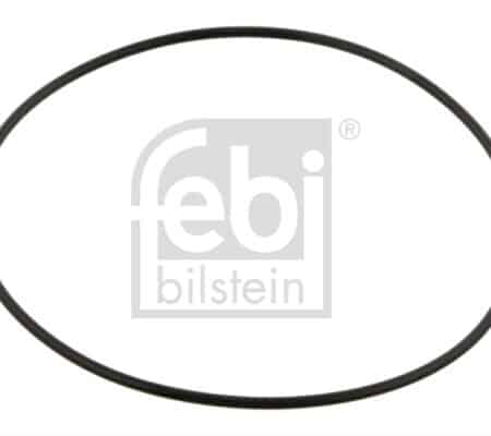 Inel De Etansare, Butuc Roata FEBI BILSTEIN Daf