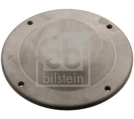 Capac De Protectie, Butuc Roata FEBI BILSTEIN Daf