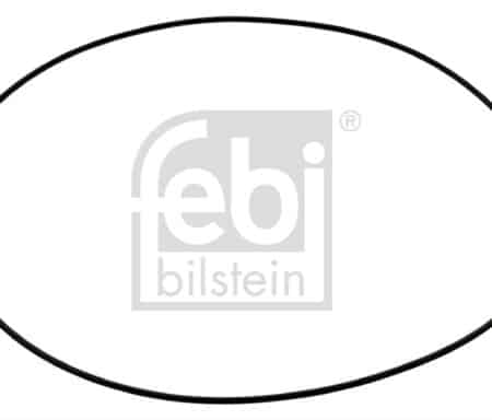 Inel De Etansare, Butuc Roata FEBI BILSTEIN Volvo