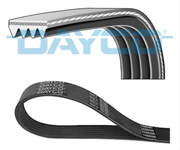 Curea Transmisie Cu Caneluri DAYCO Ford Otosan