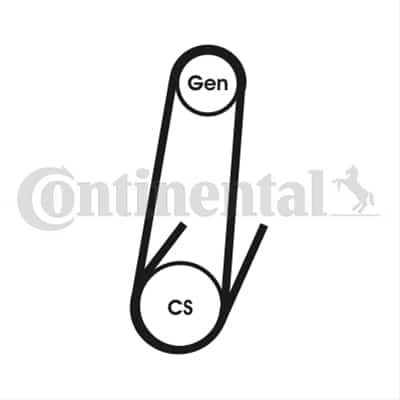 Curea Transmisie Cu Caneluri CONTITECH Bmw