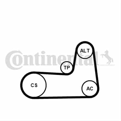 Set Curea Transmisie Cu Caneluri CONTITECH Renault