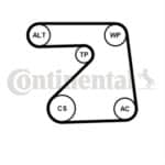 Set Curea Transmisie Cu Caneluri CONTITECH 1 5PK1334K1.jpg
