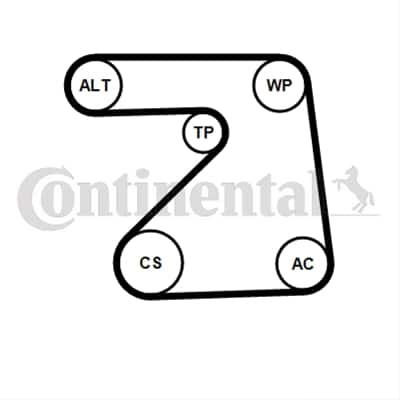 Set Curea Transmisie Cu Caneluri CONTITECH