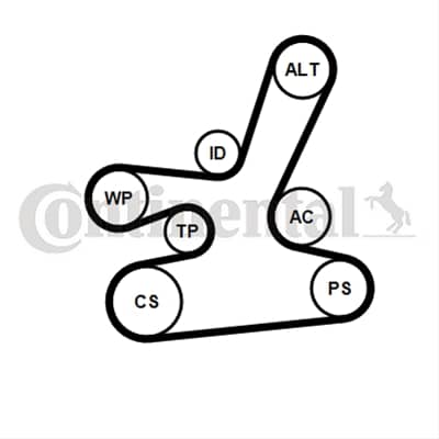Set Curea Transmisie Cu Caneluri CONTITECH Bmw