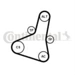 Set Curea Transmisie Cu Caneluri CONTITECH Citroen 1 6PK1004EXTRAK1.jpg