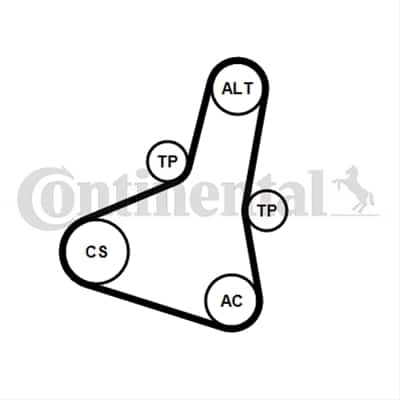Set Curea Transmisie Cu Caneluri CONTITECH Citroen