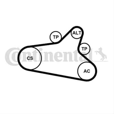 Set Curea Transmisie Cu Caneluri CONTITECH Peugeot