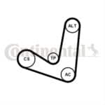Set Curea Transmisie Cu Caneluri CONTITECH Ford 1 6PK1244K2.jpg