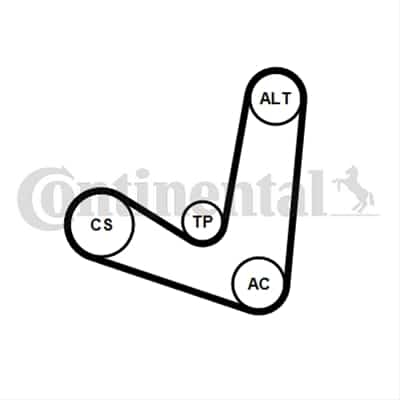 Set Curea Transmisie Cu Caneluri CONTITECH Ford