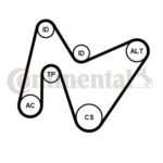 Set Curea Transmisie Cu Caneluri CONTITECH Citroen 1 6PK1642K4.jpg