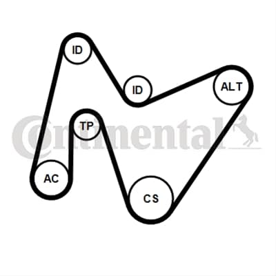 Set Curea Transmisie Cu Caneluri CONTITECH Citroen