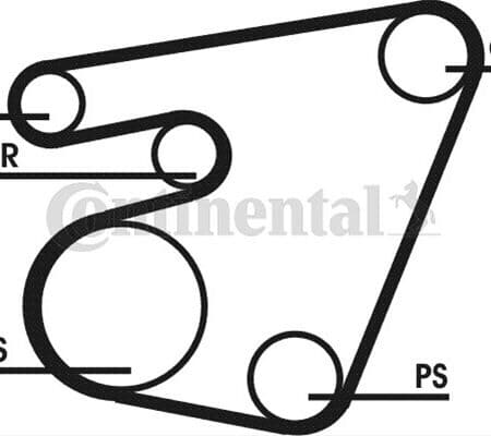Set Curea Transmisie Cu Caneluri CONTITECH Vw