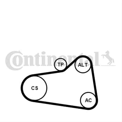 Set Curea Transmisie Cu Caneluri CONTITECH Citroen