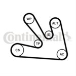 Set Curea Transmisie Cu Caneluri CONTITECH Nissan 1 7PK1687K1.jpg