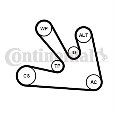 Set Curea Transmisie Cu Caneluri CONTITECH Nissan