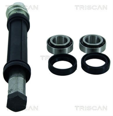 Set Reparatie, Bara Stabilizatoare TRISCAN Citroen