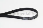 BELTPIC_5PK1397.jpg