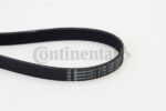 BELTPIC_6PK1390.jpg