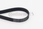 BELTPIC_6PK976.jpg