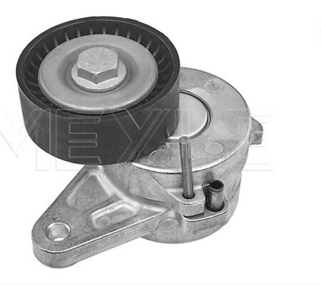 Intinzator Curea Curea Distributie MEYLE Skoda