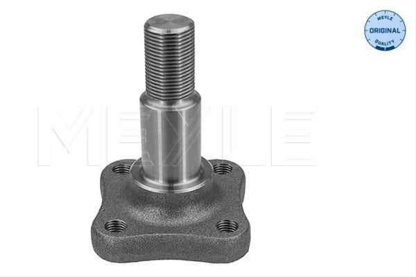 FS_16145010000_1.jpg FS 16145010000 1