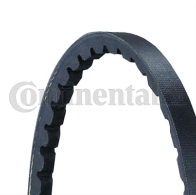 Curea Transmisie CONTITECH Alfa Romeo