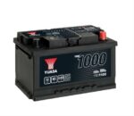 YBX1100_2834827.jpg