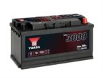 YBX3019_2834834.jpg