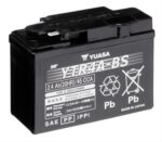 YTR4A-BS_902874.jpg