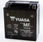 YTX16_5210531.jpg
