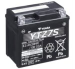 YTZ7S_902844.jpg